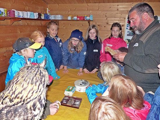 Eulentag im Nabugarten